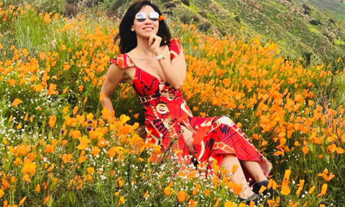 Lạc giữa rừng hoa biểu tượng của Califonia, hoa hậu Mai Thanh khiến độc giả phải quyết một lần đến Mỹ để thưởng ngoạn