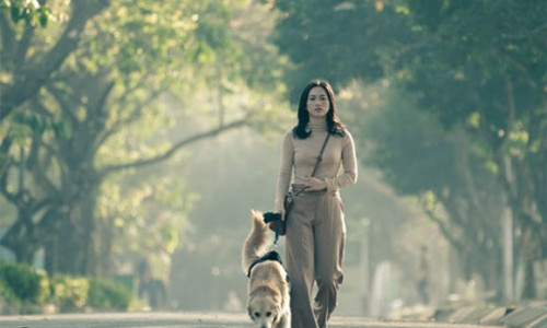 Phim Việt dốc sức cho ngày trở lại