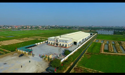 Công ty CP nông sản Hưng Việt - "Anh cả" trong ngành xuất khẩu vải thiều và ớt
